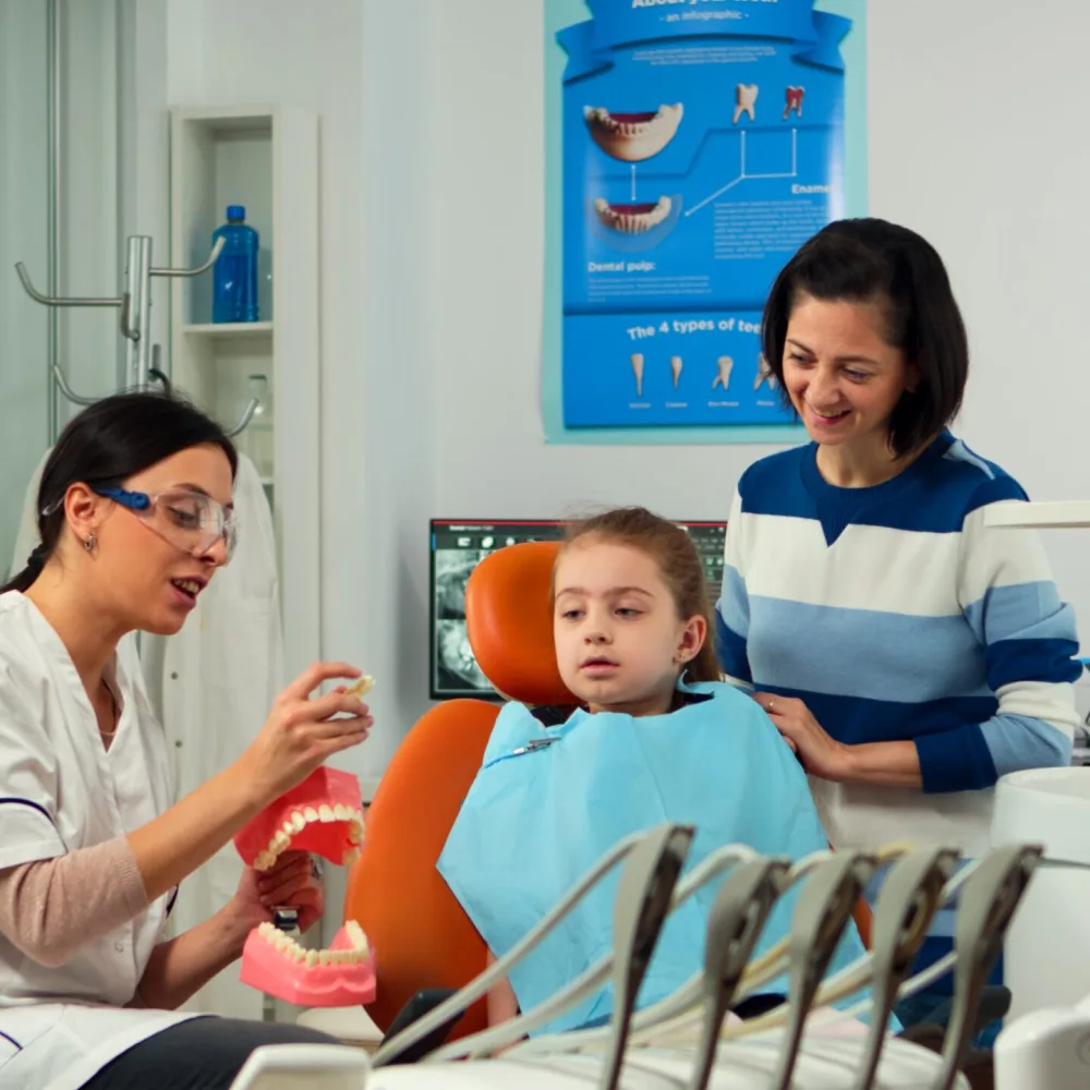 Dentist showing a young child a model of the teeth at a first dental visit in Plano, TX